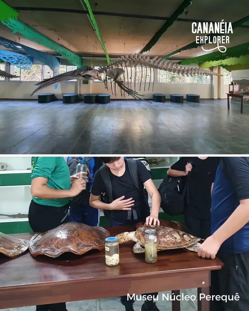 Museo Núcleo Perequê Pererinha